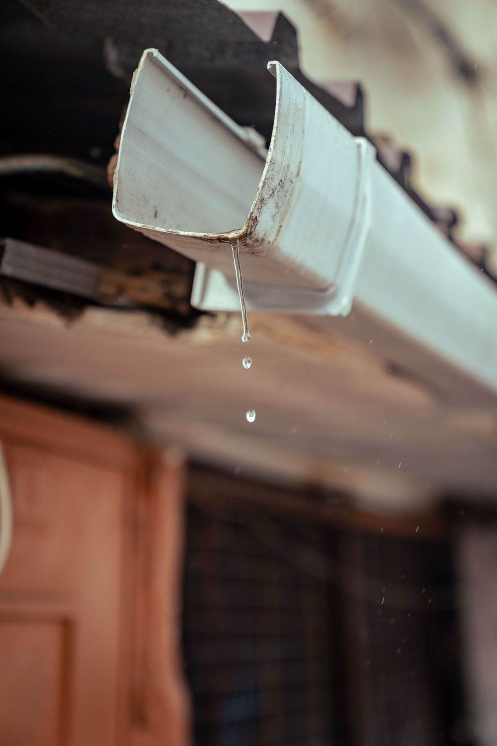 Water dripping from the open end of a roof gutter